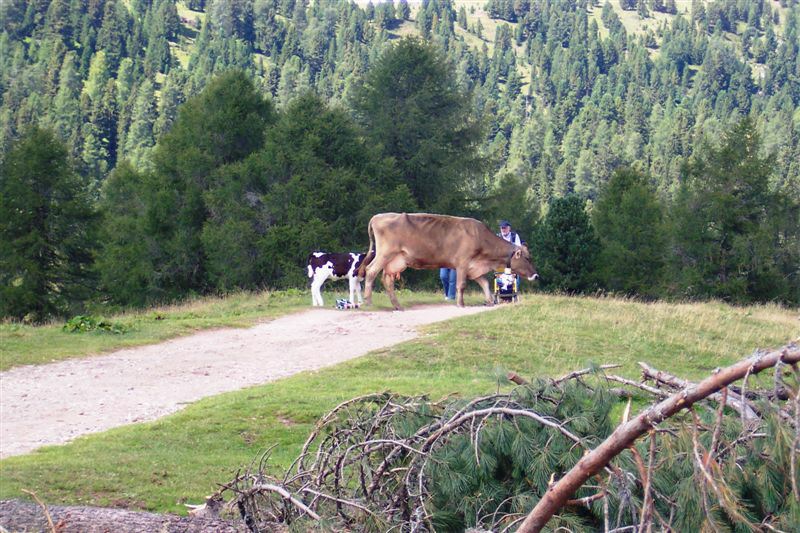foto (44).jpg